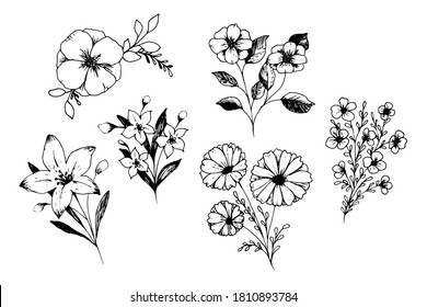 Set of hand drawn doodle flowers. Vector illustration. Perfect for cards, invitations, wedding and floral design