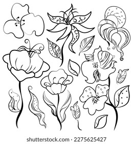 Set von handgezeichnet doodle Blumen und Blätter.