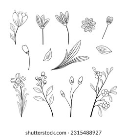 conjunto de flores de doodle dibujadas a mano estilo línea belleza elegante decoración de ilustración