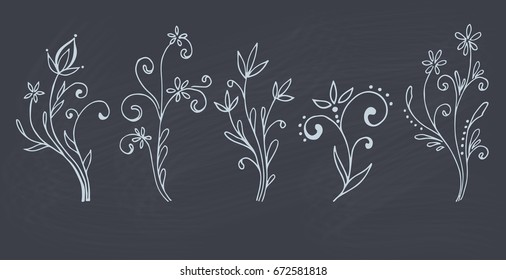 Set of hand drawn doodle flowers isolated on chalkboard. Vector illustration.