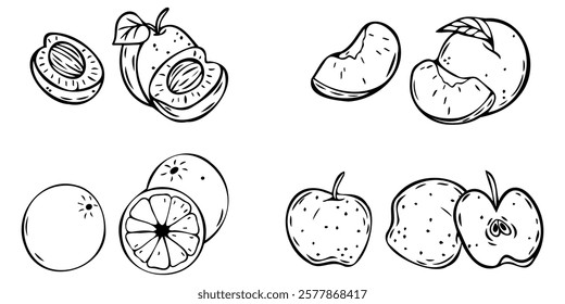 Set of hand drawn doodle fruits containing apple, peach, orange and apricot.