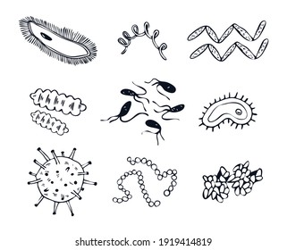 Set of hand drawn doodle germs, bacilli and streptococci. Collection vector illustration of microscopic organisms and viruses isolated on white background.