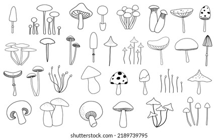 Set of hand drawn doodle mushroom collection vector.