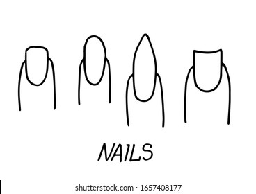 Conjunto de formas de uñas de doodle dibujadas a mano. clavos cuadrados, afilados, ovalados en los dedos. Manicura diferente. Divertida y simple ilustración vectorial.