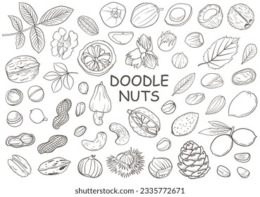 Set of hand drawn doodle nuts. Vector illustration