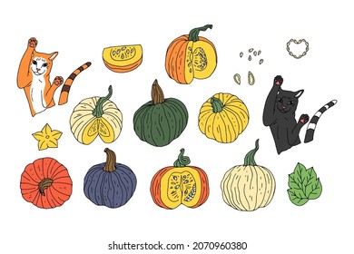 Set of Hand drawn doodle orange pumpkins clipart isolated on white background.