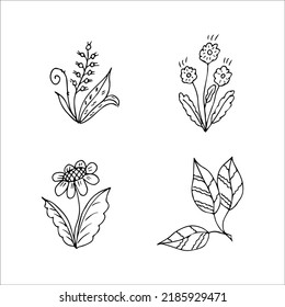 set of hand drawn doodle plant elements for floral design concept