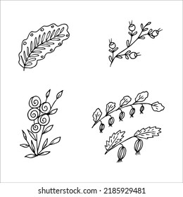 Satz handgezeichnet doodle pflanzlicher Elemente für Blumendesign