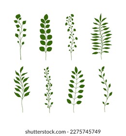 Handgezeichnete Silhouetten aus minimalistischen Ästen und Stiele mit Blättern, Zweig und Gras. Baum Art Design. Einzeln auf weißem Hintergrund 