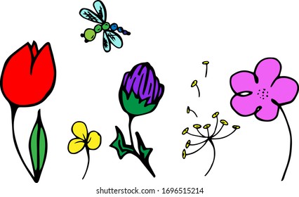 Conjunto de boceto dibujado a mano de la flor aislado sobre fondo blanco. Encantadora planta primaveral. Vector
