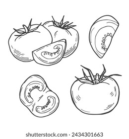 Conjunto de garabato dibujado a mano. Alimentos ecológicos orgánicos. Mitad y rebanada de tomate. Esbozo vectorial