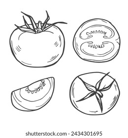 Set of hand drawn doodle tomato. Organic eco food. Half and slice of tomato. Vector sketch