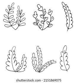Set of Hand drawn doodle vector flowers, leaves and branches. Floral, plant elements in doodle style