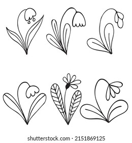 Set of Hand drawn doodle vector flowers, leaves and branches. Floral, plant elements in doodle style