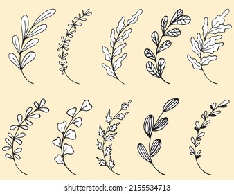Set of Hand drawn doodle vector leaves and branches. Collection of tree Floral, plant elements