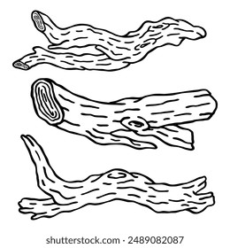 a set of hand drawn drift wood drawing illustration