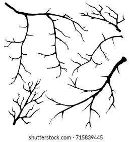 Set of hand drawn dry tree branch silhouette, isolated on white background