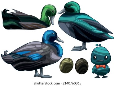 A set of hand drawn ducks The breed of Black east indie duck