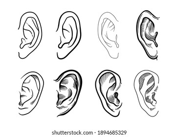 Set Hand Drawn Ear Sketch Symbol Stock Vector (Royalty Free) 1894685329 ...