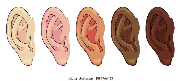 Set of Hand Drawn Ear Sketch Symbol with different skin color. Vector Listen Element In doodle Style isoleted on white.