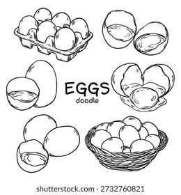 Conjunto de Ovos desenhados à mão, caixa de ovo, gema de ovo e ilustração de doodle de cesta de ovo
