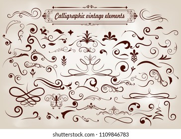 set of hand drawn elements curls and swirl, decorative vintage, frame or border decoration design