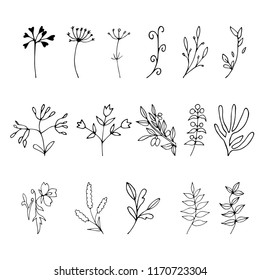 Set of hand drawn elements with floral elements and leaves, design  for invitations, greeting cards, quotes, blogs, posters.. Vector illustration.