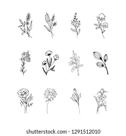 Set of hand drawn elements with floral elements and leaves, design  for invitations, greeting cards, quotes, blogs, posters.. Vector illustration.