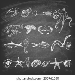 Set of hand drawn elements seafood and sea shells, starfish, sea horse on the blackboard. Retro vintage style seafood design. Vector illustration.