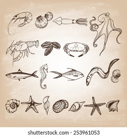 Set of hand drawn elements seafood and sea shells, starfish, sea horse. Retro vintage style seafood design. Vector illustration.