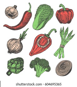 Set hand drawn elements with sketch style vegetables. Different peppers. Fresh cabbage. Artichoke and asparagus. Cauliflower, onions
