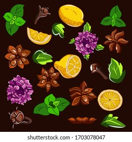 set of hand drawn elements of spices. Multicolor objects on dark brown background. illustrated for home textile, food magazine. 