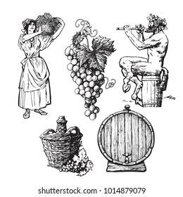 Set of hand drawn elements for wine design. Beautiful peasant woman carrying basket, bunch of grapes, Satyr, bottle demijohn, barrel. Vector illustration in vintage style isolated on white background