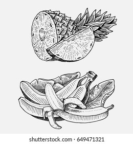 set of hand drawn, engraved fresh fruits, vegetarian food, plants, vintage looking bananas and pineapple.
