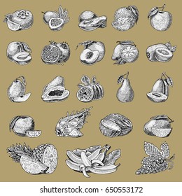set of hand drawn, engraved fresh fruits, vegetarian food, plants, vintage orange and apple, grape with coconut, dragonfruit, pear, peach, plum