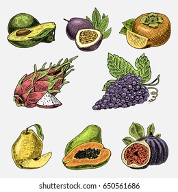 set of hand drawn, engraved fresh fruits, vegetarian food, plants, vintage grape, papaya, pitaya or dragon fruit, passion fruit, avocado and common fig.