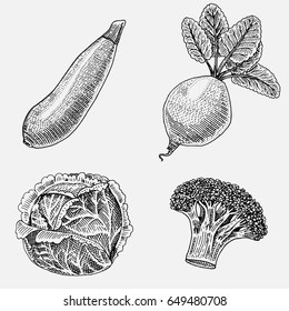 set of hand drawn, engraved vegetables, vegetarian food, plants, vintage looking zucchini, broccoli and beetroot, cabbage.