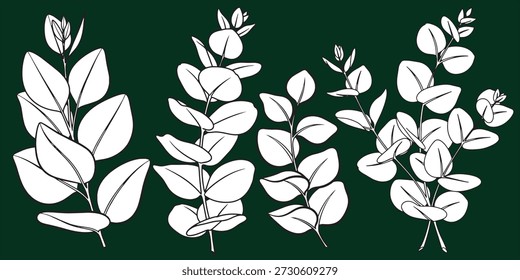 Set of hand drawn eucalyptus leaves and branches line art vector illustration