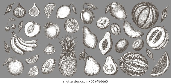 Set of hand drawn exotic fruits isolated on background. Detailed engraving retro style - elements for menu design, recipe illustration, sticker. Guava, banana, melon, fig, papaya and others.