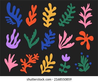 Set of hand drawn exotic jungle leaves, flowers and plants. Abstract modern trendy vector illustration. Perfect for posters, instagram posts, stickers.