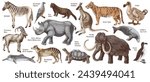 Set of hand drawn extinct animals
