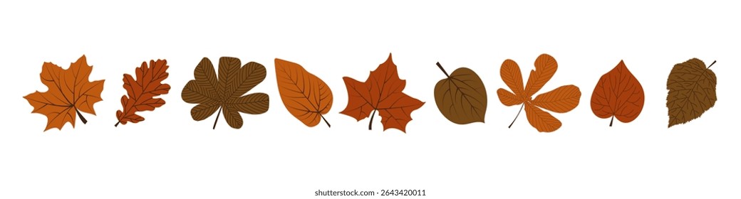 Set of hand drawn fall leaves in orange,red and brown colors. Autumn foliage design for seasonal design. Vector illustration