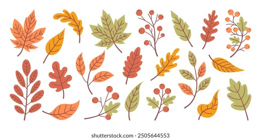 Set of hand drawn fallen leaves