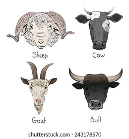 Set of hand drawn farm animals, vector illustration