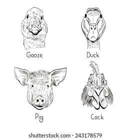 Set of hand drawn farm animals, vector illustration