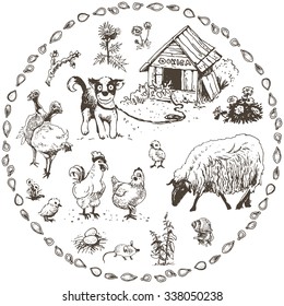 Set of hand drawn farm animals, vector illustration