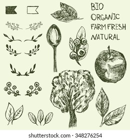 Set of hand drawn farm and organic elements for design