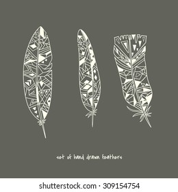 set of hand drawn feathers