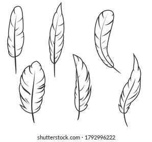 Set of hand drawn feathers different shapes in minimalistic monochrome cartoon style. Design elements isolated on white background. Vector illustration.