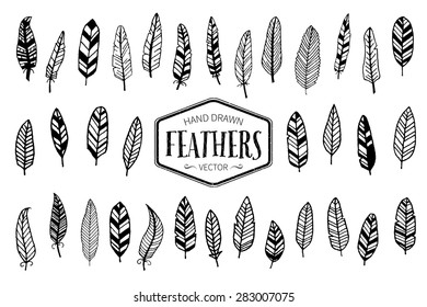 Set of hand drawn feathers. Ink illustration.